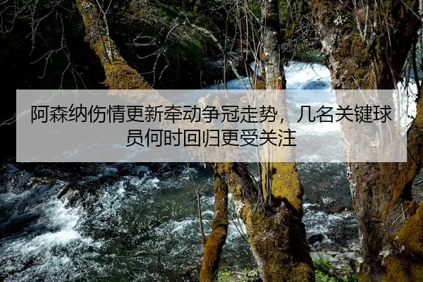 阿森纳伤情更新牵动争冠走势，几名关键球员何时回归更受关注